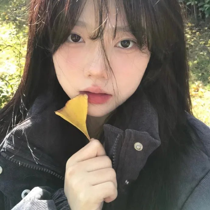 658公里、阳子的旅途